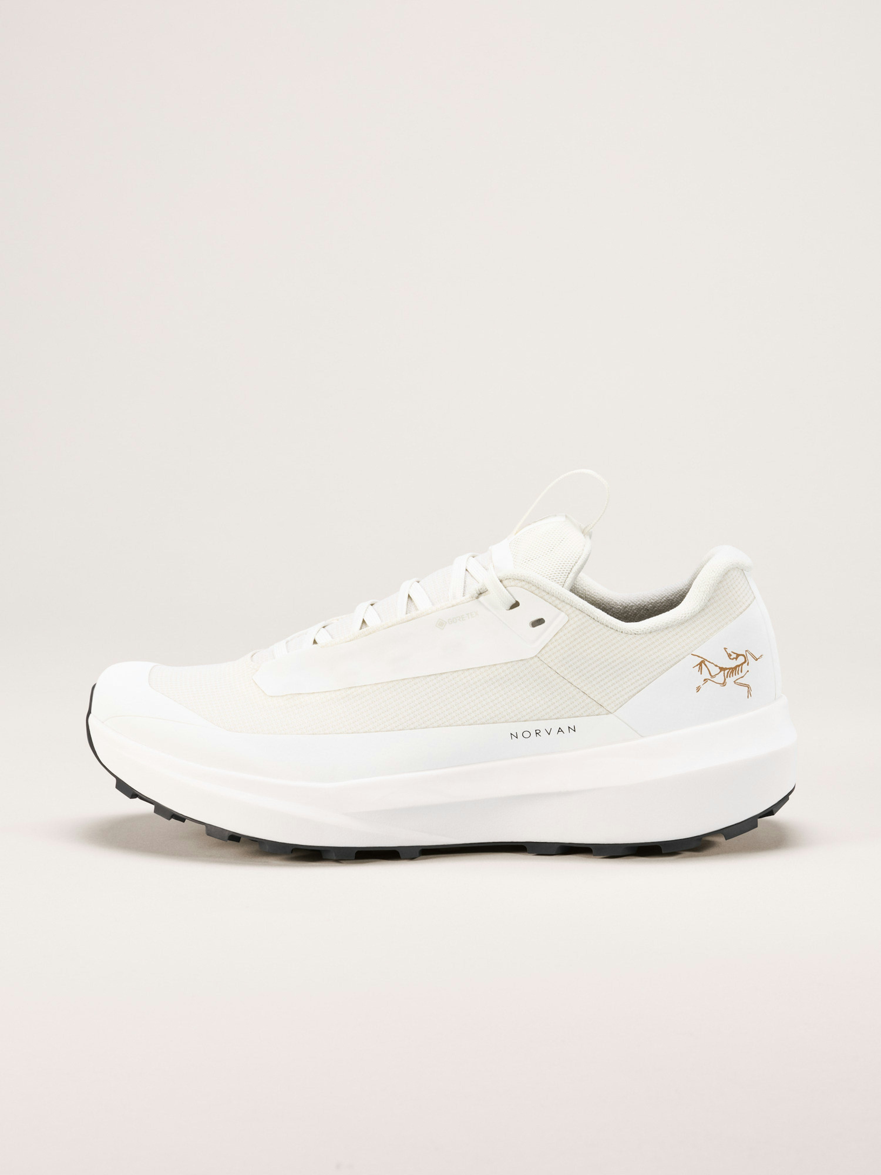 Norvan LD 4 GTX Shoe Women's